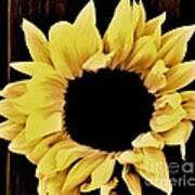 Pretty Macro Sunflower Art Print