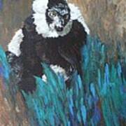 Primate Of The Madagascan Rainforest Art Print