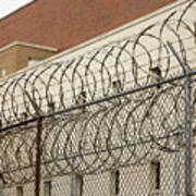 Prison Fence Razor Wire Art Print