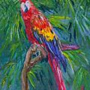 Proud Parrot Art Print