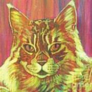 Ptg   Cameo Maine Coon Art Print