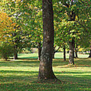 Public Park In Autumn Colors, Gresham Art Print