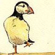 Puffin Bird Art Print