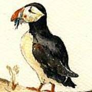 Puffin With Fishes Art Print