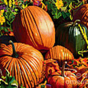 Fall Pumpkin Patch Art Print