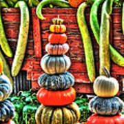 Pumpkins And Gourds Art Print