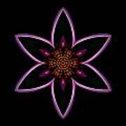 Purple Echinacea Flower Mandala Art Print