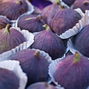 Purple Figs Art Print