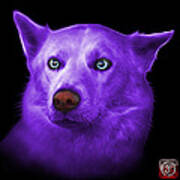 Purple Mila - Siberian Husky - 2103 - Bb Art Print