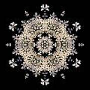 Queen Anne's Lace Flower Mandala Art Print