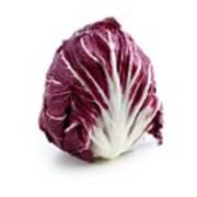 Radicchio Art Print