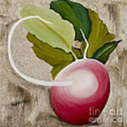 Radish Art Print