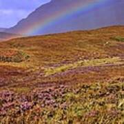 Rainbow And Heather Art Print