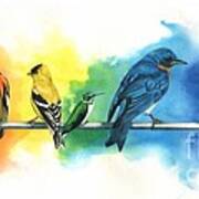 Rainbow Birds Art Print