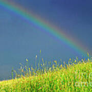 Rainbow Over Pasture Field Art Print