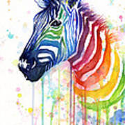 Rainbow Zebra - Ode To Fruit Stripes Art Print