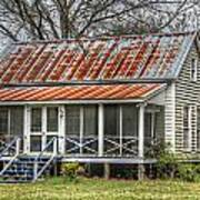 Raised Cottage With Tin Roof Art Print