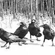 Ravens By The Edge Of The Woods In Winter Art Print