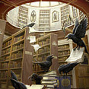 Ravens In The Library Art Print