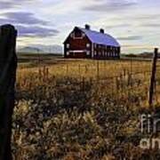 Red Barn In The Golden Field Art Print