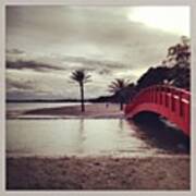 Red Bridge & #palm #tree. Long #walks Art Print