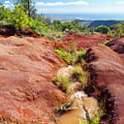 Red Dirt River, Kauai Art Print