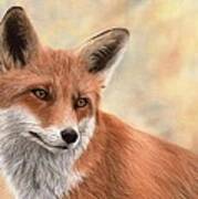 Red Fox Painting Art Print