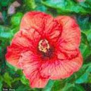 Red Garden Hibiscus  Dp Art Print