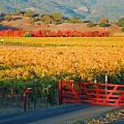 Red Gate At Sunrise Art Print