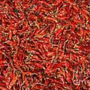 Red Hot Chillies Art Print
