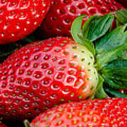 Red Juicy California Strawberries Art Print