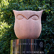 Red Owl At Temple Art Print