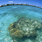 Reef Seascape Palmyra Atoll Art Print