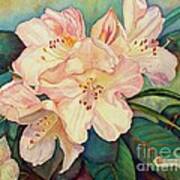 Rhododendrons Art Print