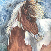 Pinto Pony Art Print