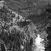 River At Yellowstone Art Print
