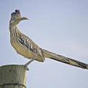 Roadrunner On Fence Post Art Print