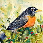 Robin In The Holly Art Print