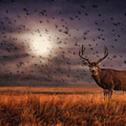 Rocky Mountain Arsenal Deer And Birds Art Print