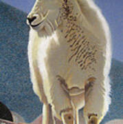 Rocky Mountain Goat Art Print