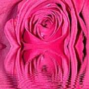 Rose Drops Art Print
