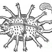Rubus, Legendary Sea Monster Art Print