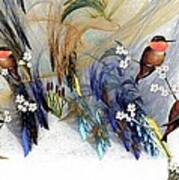 Rufous Hummingbirds Art Print