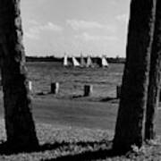 Sailboats At Jupiter Island Art Print