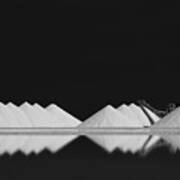 Salt Production Bw Art Print