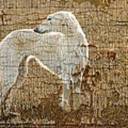 Saluki Texture Art Print