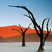 Sand Dunes, Namibia Art Print