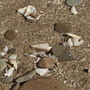 Sand Pebbles And Shells Art Print