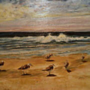 Sand Pipers Art Print