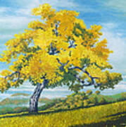 Santa Ynez Tree Art Print